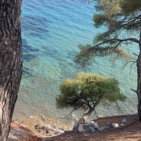 "Pine&Sea" Kastamoniti Beach Nikiti  Zewnętrze zdjęcie