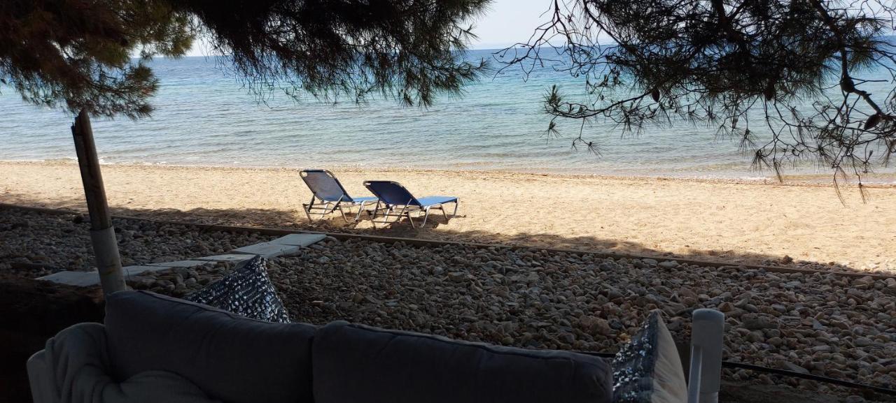 "Pine&Sea" Kastamoniti Beach Nikiti  Zewnętrze zdjęcie
