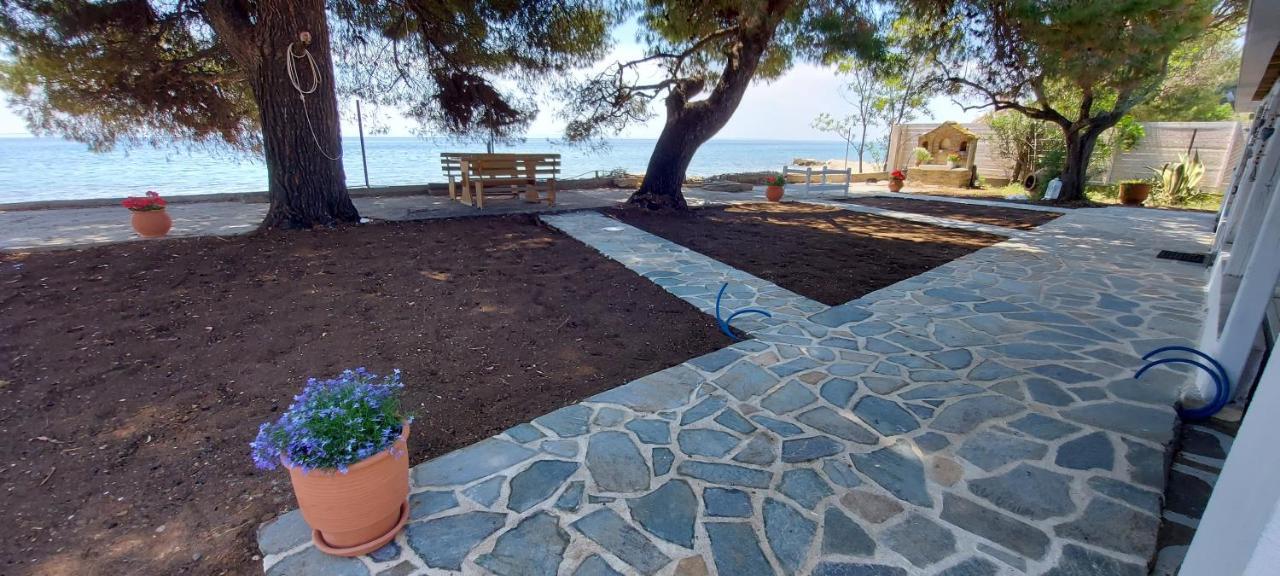 "Pine&Sea" Kastamoniti Beach Nikiti  Zewnętrze zdjęcie